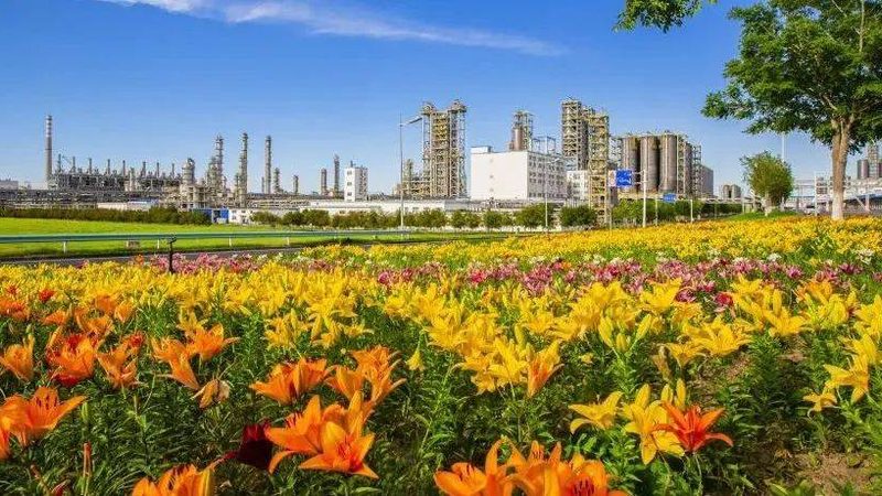 农药助剂定制流程对比：从需求到配方的三步拆解