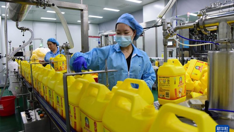 色母粒配方与母料：揭秘它们之间的差异与联系